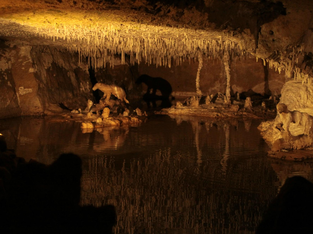 Les Grottes Petrifiantes景点图片