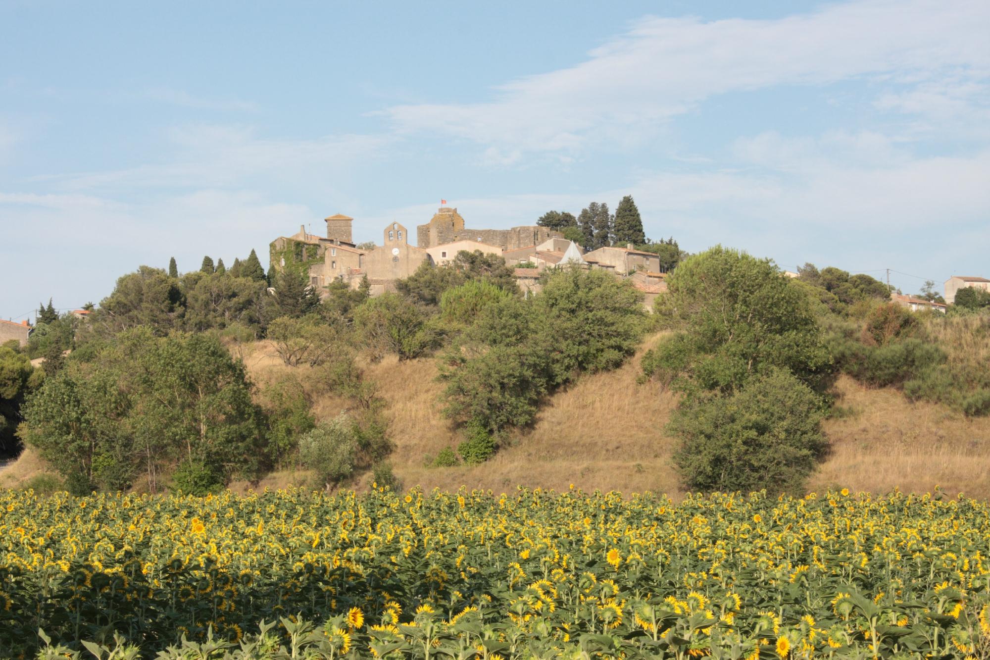 Domaine des Pins-浴室