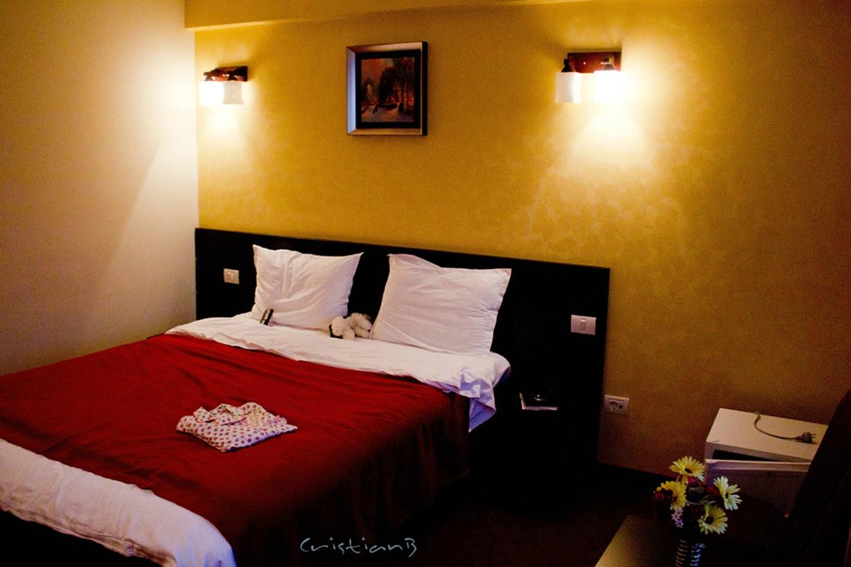 Hotel Ancor-客卧
