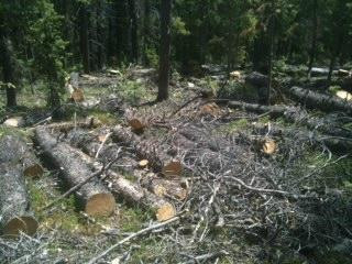 Peaks Trail-布雷肯里奇必去景点
