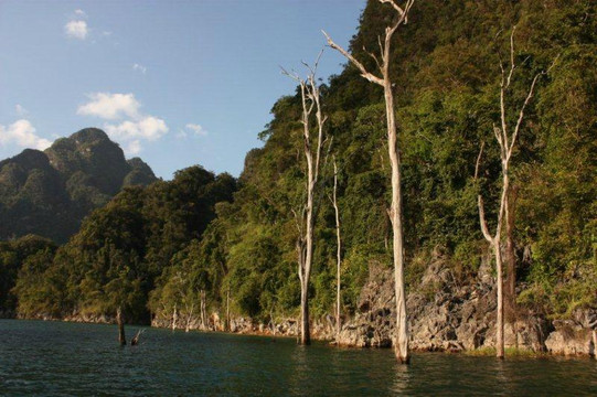 Khao Lak Explorer Diving Center-拉克山必去景点