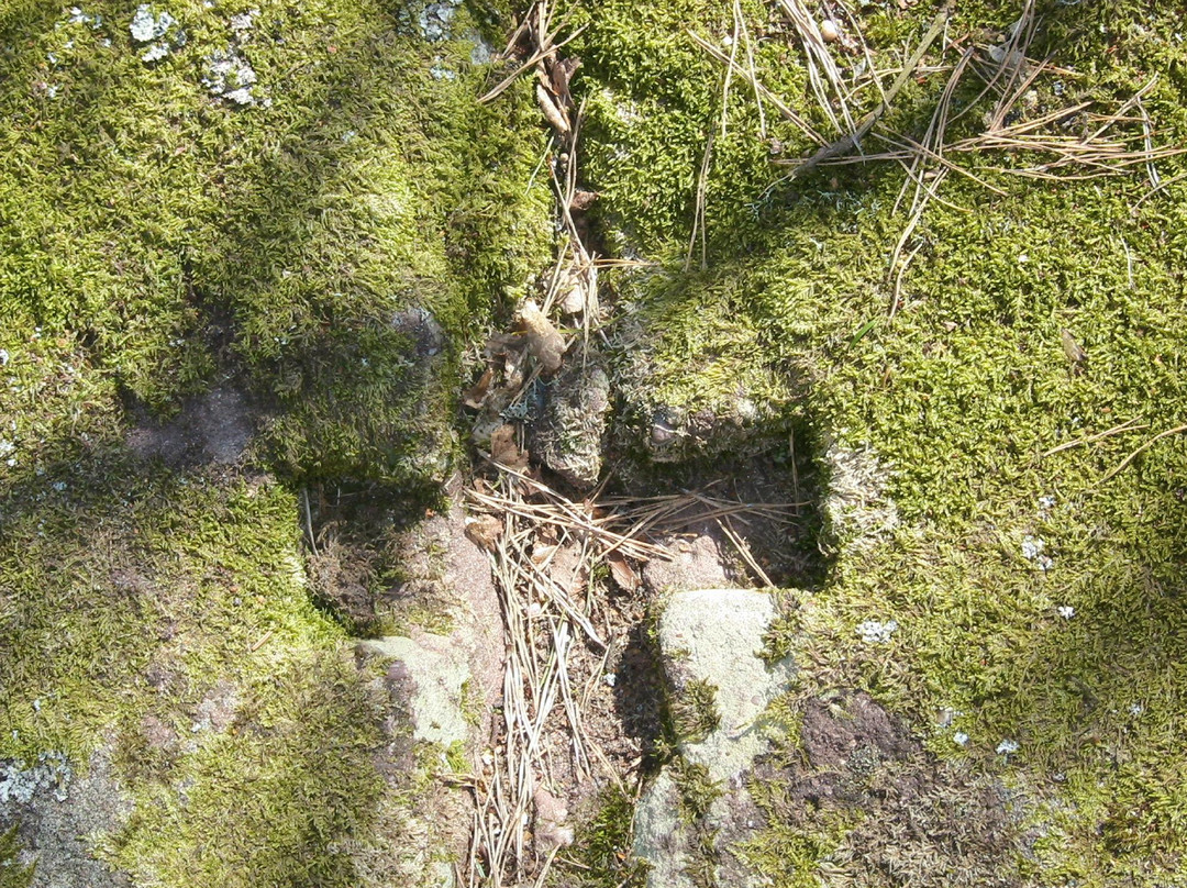 Pagan Wall-奥特罗特必去景点