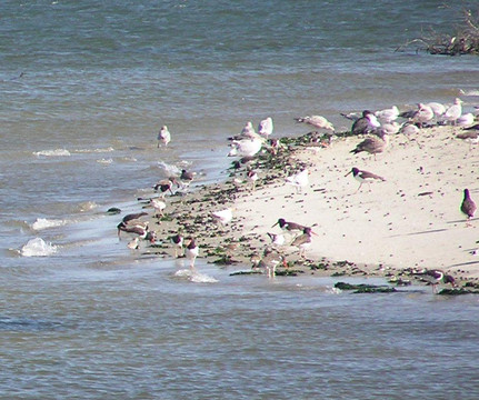 Jones Beach State Park-Wantagh必去景点