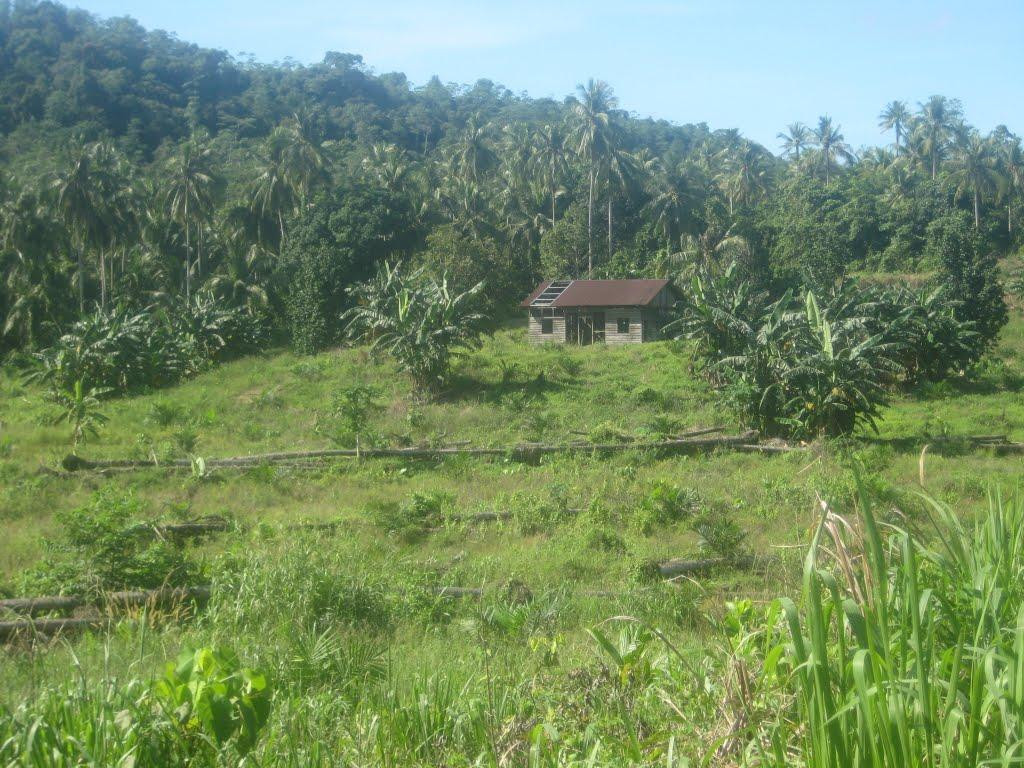 Fieldskills Adventures - Day Tours-亚庇必去景点