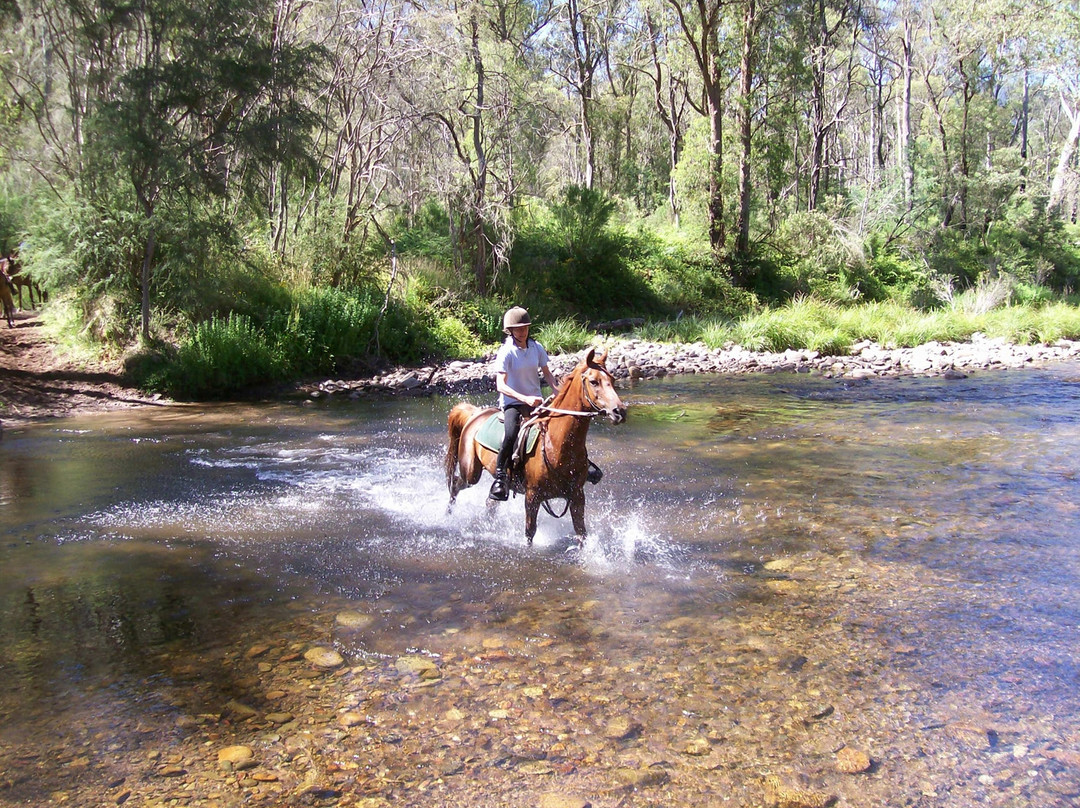 Watson's Mountain Country Trail Rides - Day Tours-曼斯菲尔德必去景点