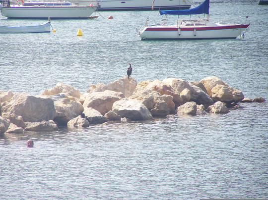 No Frills Excursions-阿尔库迪亚港必去景点