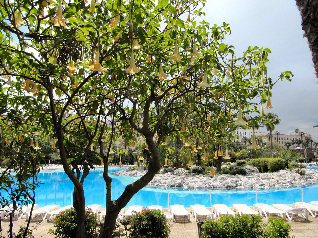 Parque Maritimo del Mediterraneo-Ceuta必去景点
