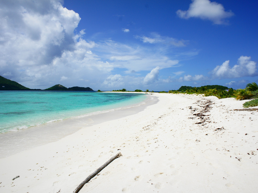 Sandy Island-Carriacou Island必去景点