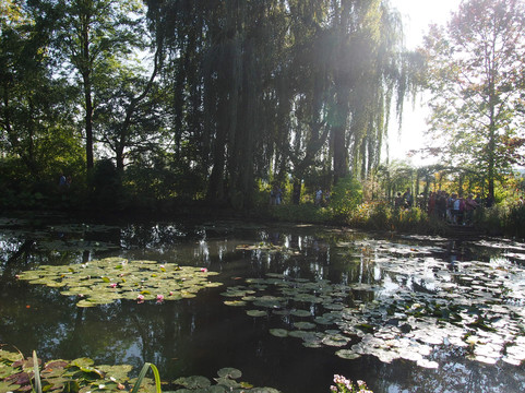 Fat Tire Tours 巴黎单车游-巴黎必去景点