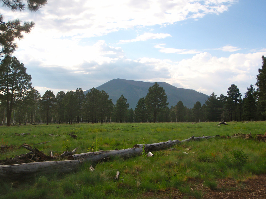 Flagstaff Nordic Center-弗拉格斯塔夫必去景点