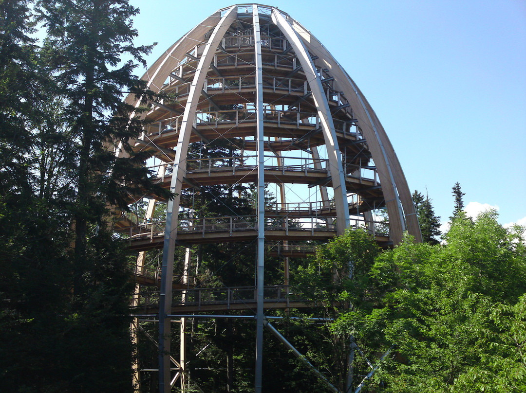 Baumwipfelpfad Bavarian Forest-Neuschonau必去景点