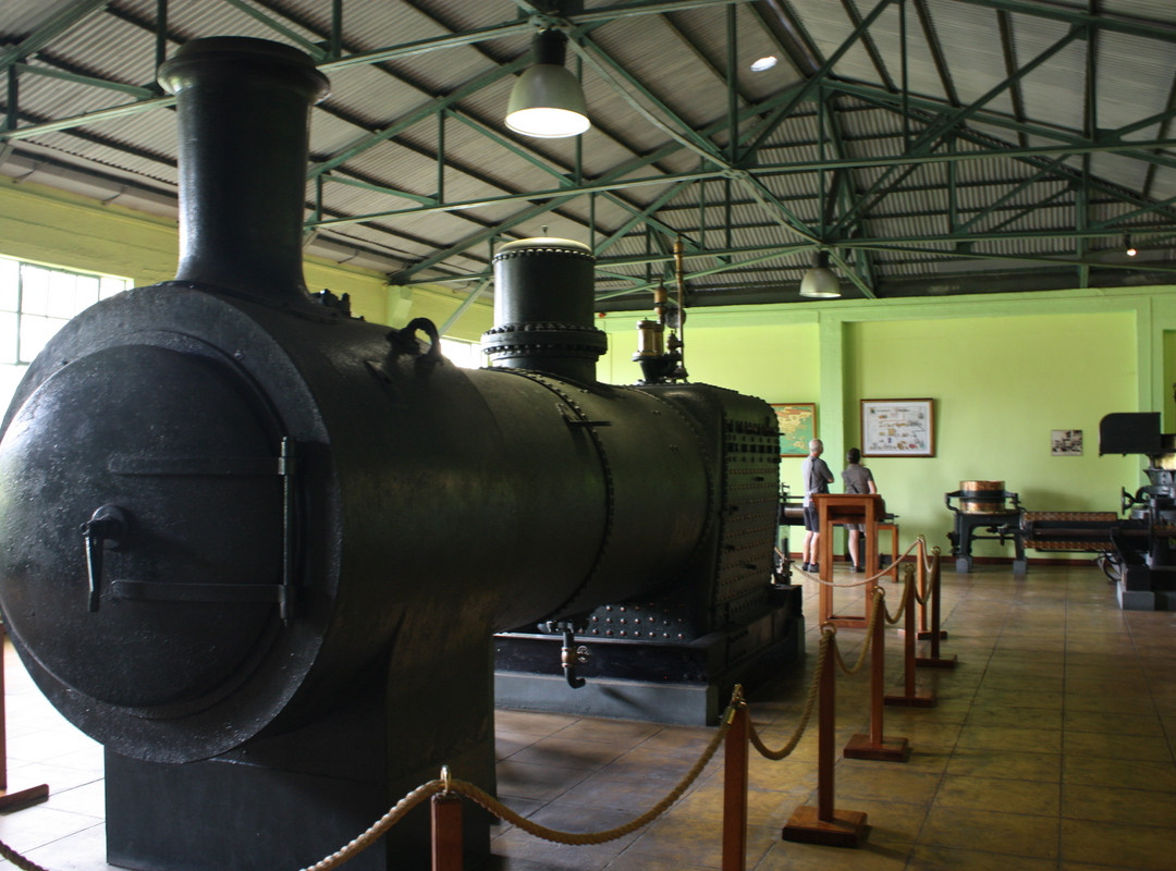 Bois Cheri Tea Factory and Tea Museum-Bois Cheri必去景点