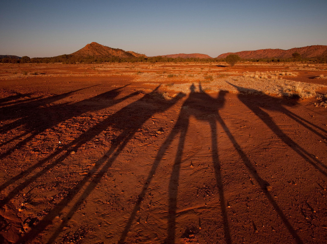 Pyndan Camel Tracks-爱丽斯泉必去景点