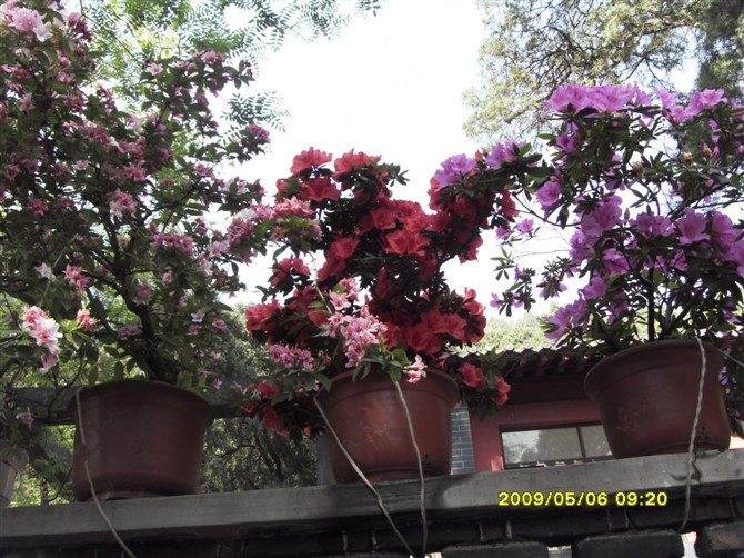 碧霞宝光景区-泰安市必去景点