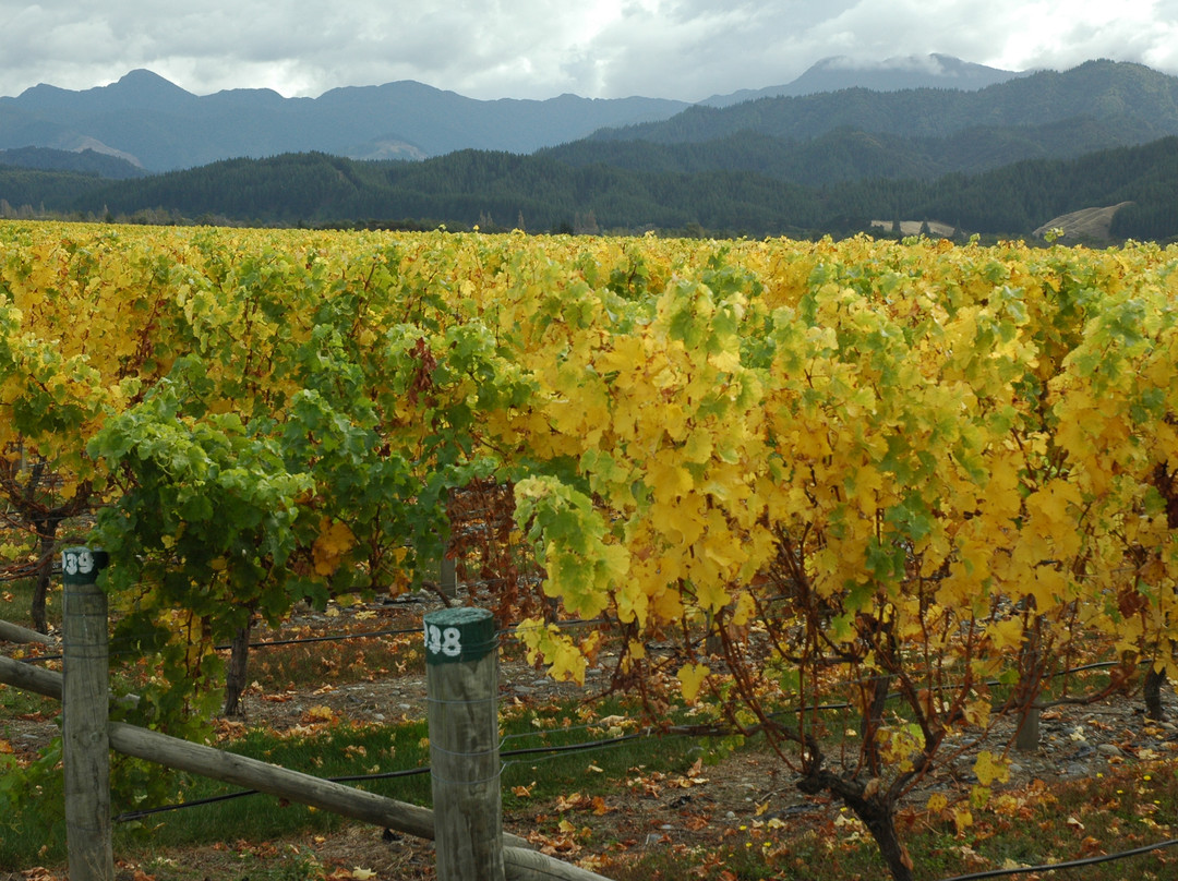 Book-a-Bike-布伦海姆必去景点