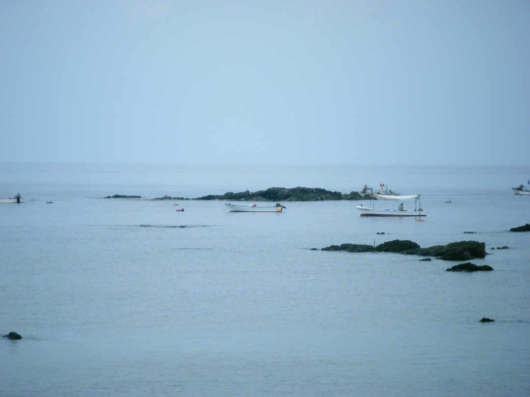 Hegura Island景点图片