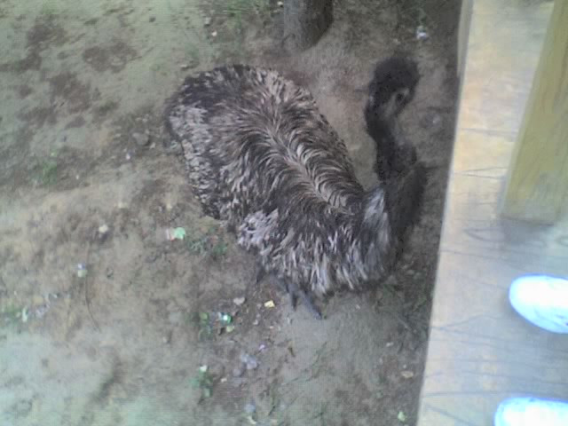 赤峰市植物园-赤峰市必去景点