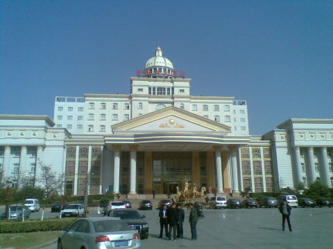 泗阳新世界大酒店-客卧