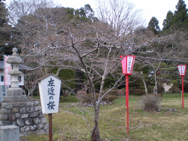 Soma Nakamura Shrine-相马市必去景点