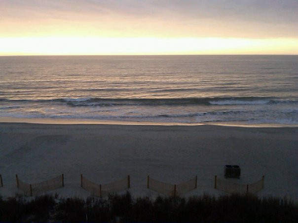 Myrtle Beach State Park-美特尔海滩必去景点
