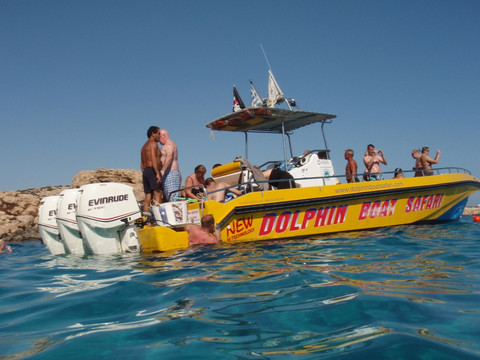 Dolphin Boat Safari-阿依纳帕必去景点