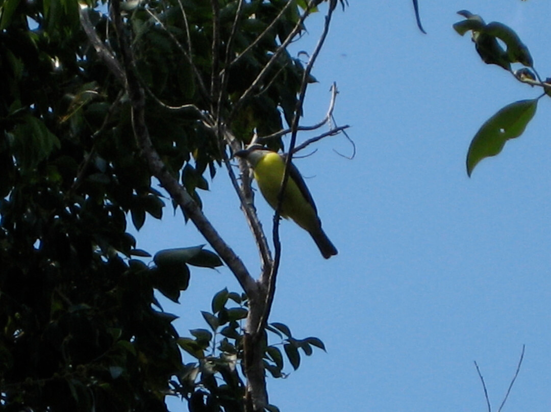 Jardín Botánico Dr. Alfredo Barrera Marin-从莫雷洛斯港必去景点