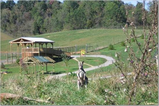 弗吉尼亚游猎公园-天然桥必去景点