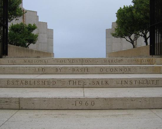 索尔克研究所-拉荷亚必去景点