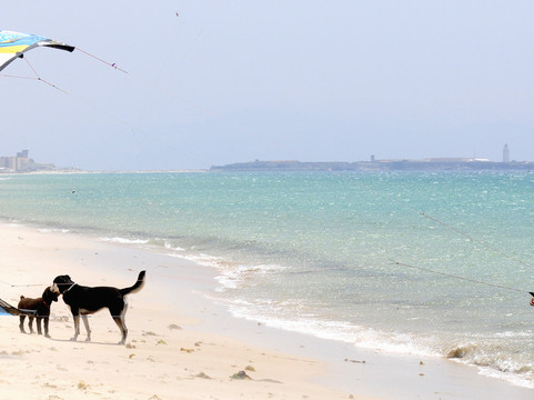 Free your Mind-塔里法必去景点