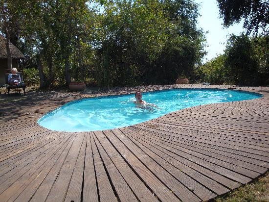 Pom Pom Camp - Kwando Safaris