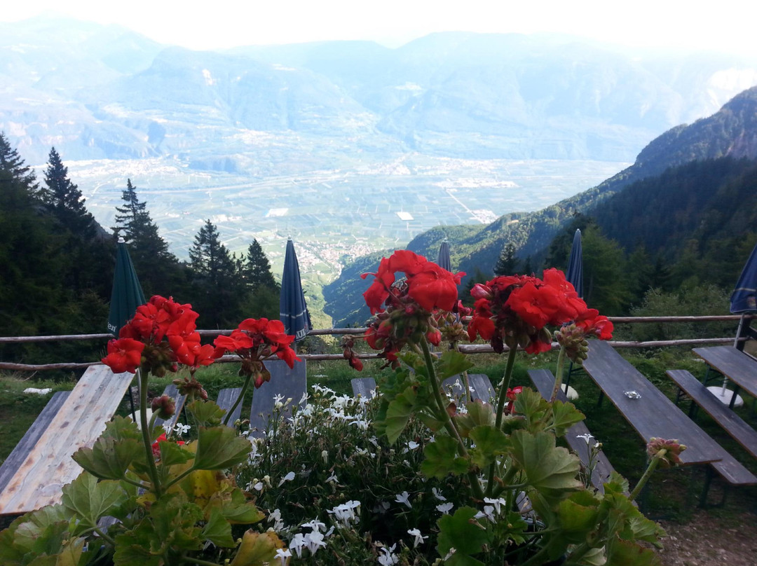 Rifugio Oltradige al Roen - UberetscherHutte