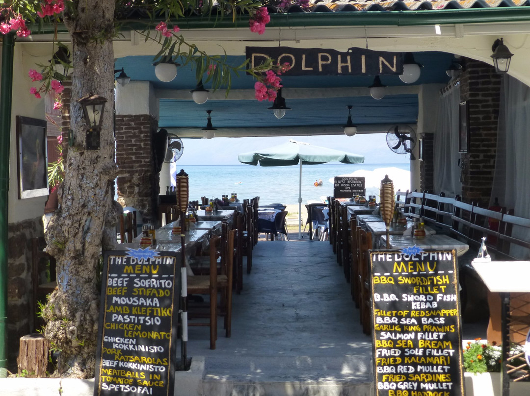 The Dolphin Taverna