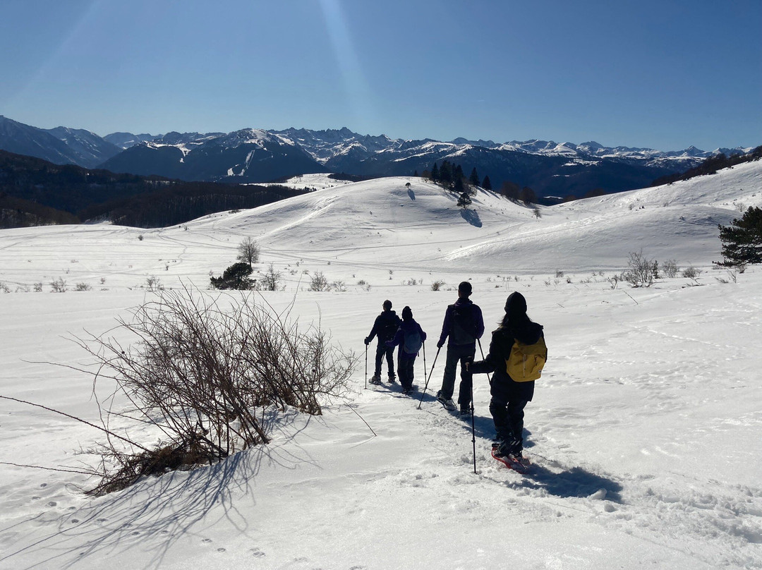 Pyrénées Excursions景点图片