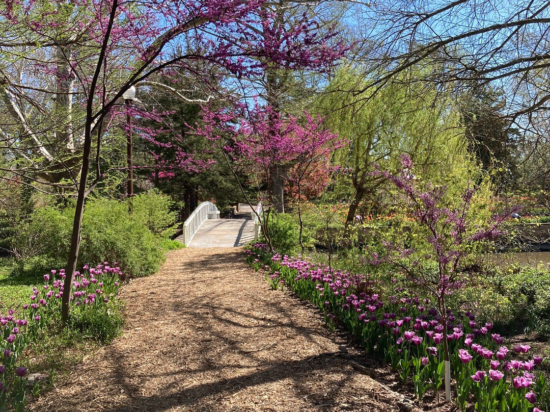 Bartlett Arboretum-Belle Plaine必去景点