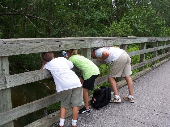 Blackwater Heritage State Trail-Milton必去景点