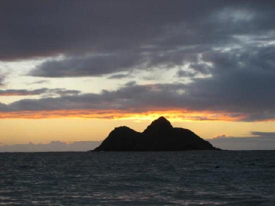 拉尼凯海滩-科纳必去景点