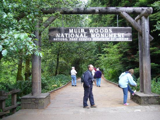 谬尔红杉森林-米尔谷必去景点