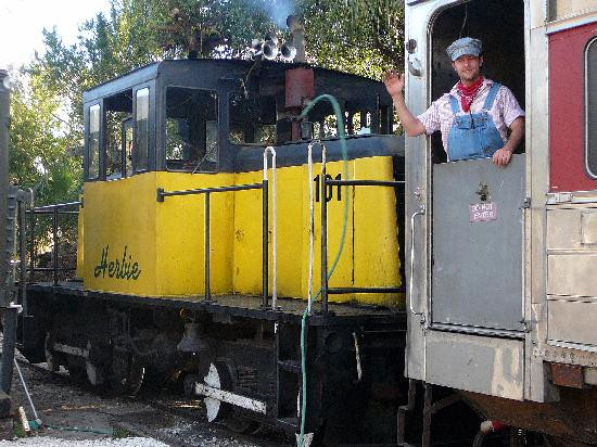 Lake Dora-Mount Dora必去景点