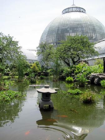 Anna Scripps Whitcomb Conservatory-底特律必去景点