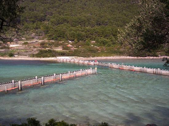 St. Mary Island景点图片