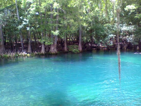 Manatee Springs State Park景点图片