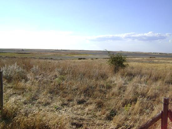 Reserva Natural de las Lagunas de Villafafila景点图片