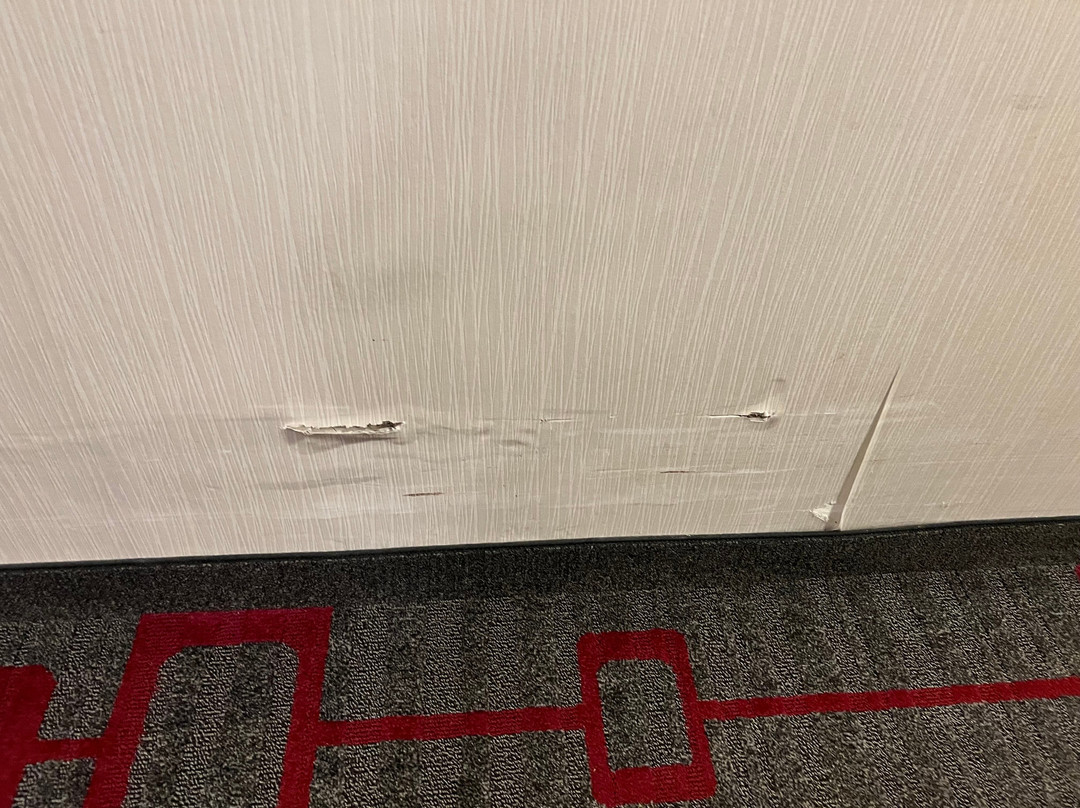 Residence Inn Richmond Northwest/Short Pump主图