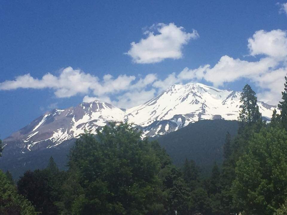 Shasta-Trinity National Forest景点图片