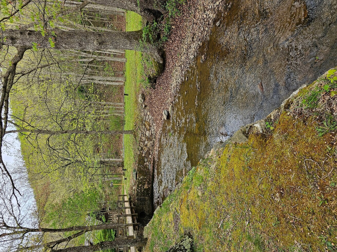 Sherando Lake Recreation Area-Lyndhurst必去景点