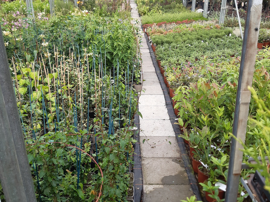 Mill Garden Centre-Armadale必去景点