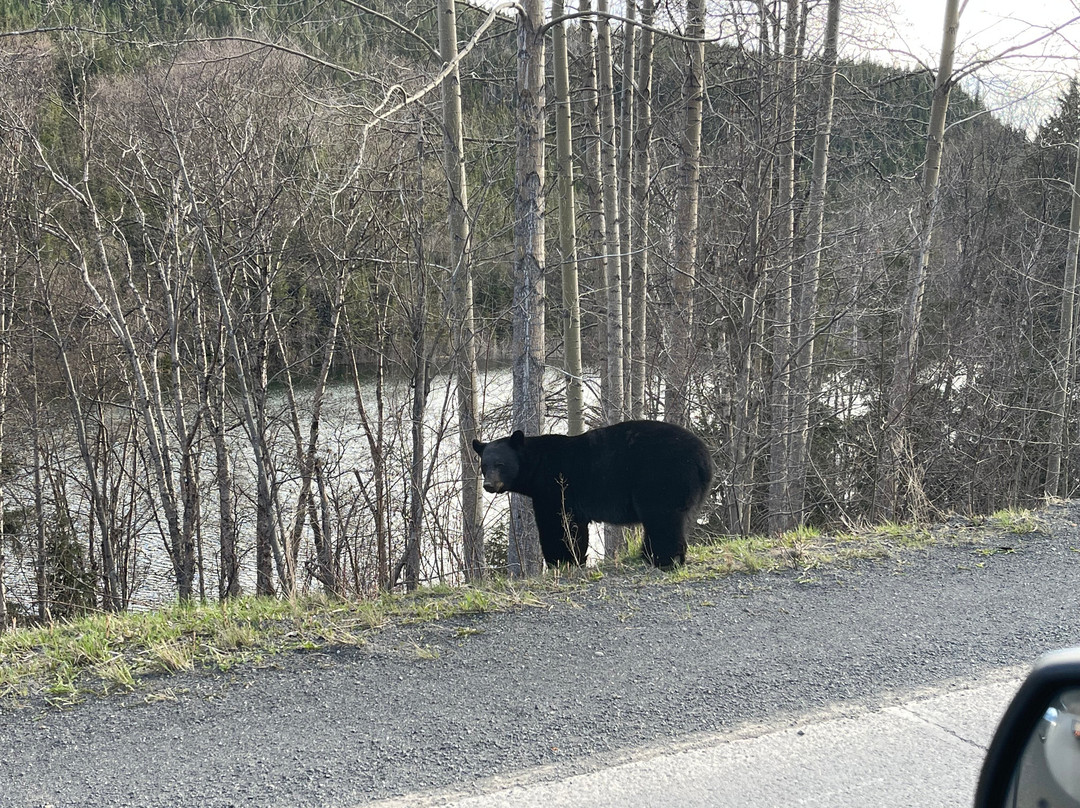 Northway Motor Inn主图