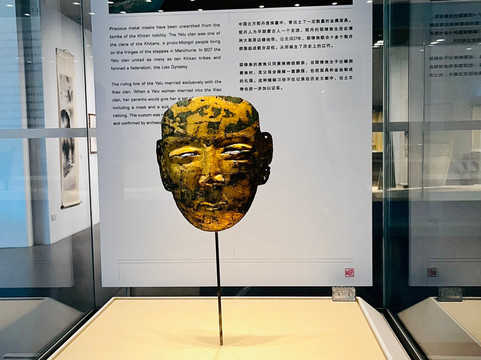 NUS Museum-新加坡必去景点