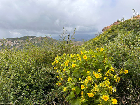 Sandstone Peak-马里布必去景点