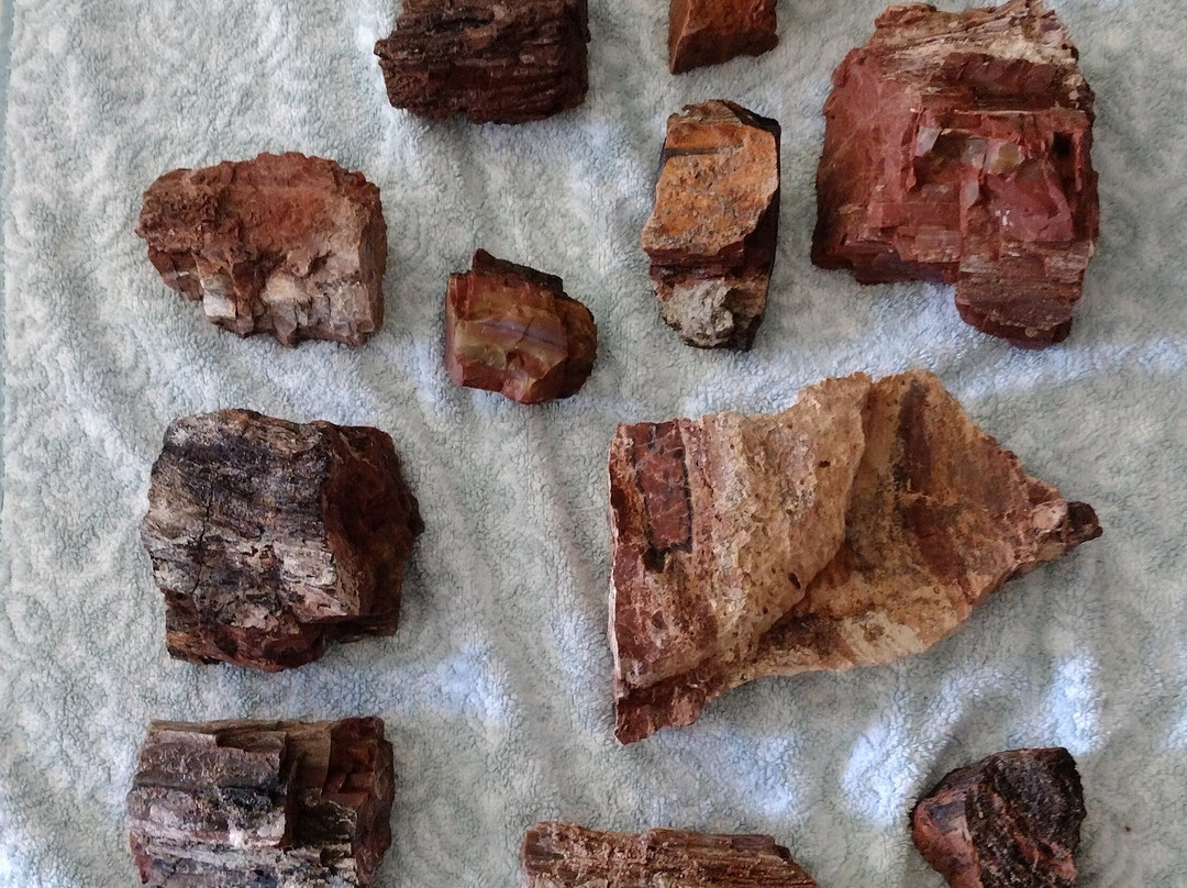 DoBell Ranch-霍尔布鲁克必去景点